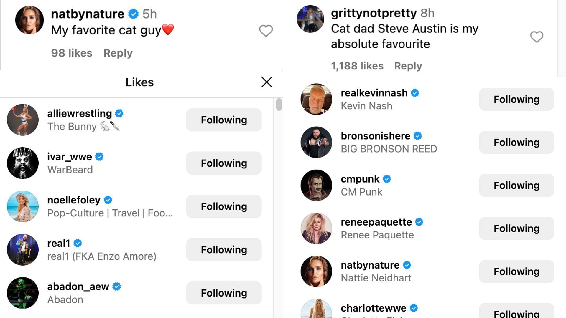 Stars react to Austin's post about his cats on Instagram.